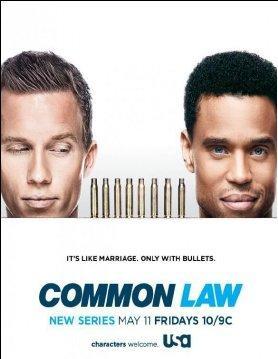 Common Law (Temporada 1) [12 Cap.] FDT